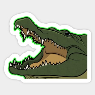 Crocodile Sticker